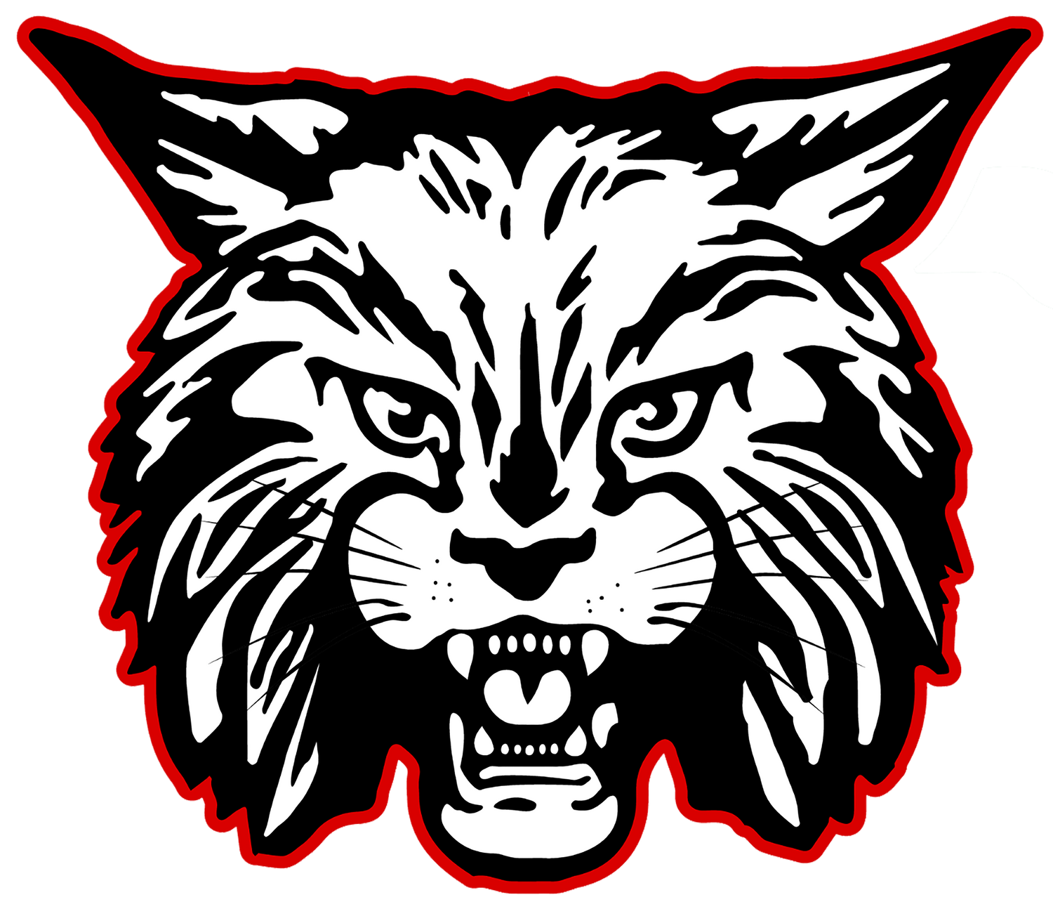 Ferndale Wildcats