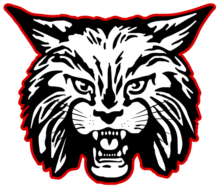 Ferndale Wildcats