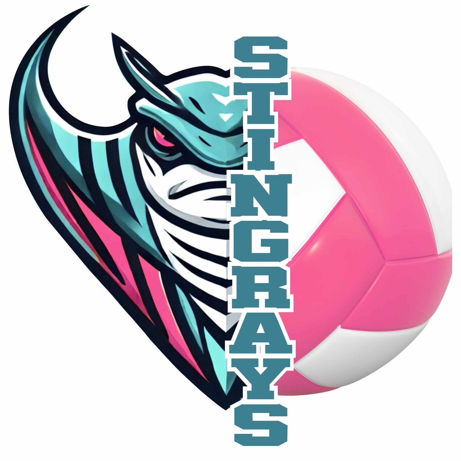 Eel River Volleyball Club